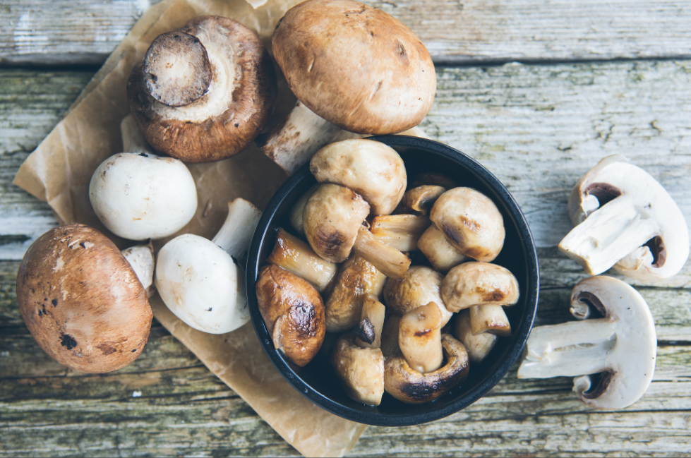 mushroom extract NZ